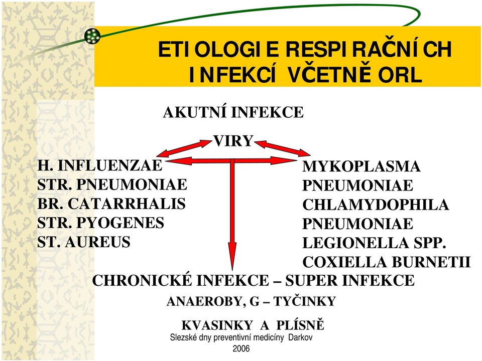 CATARRHALIS CHLAMYDOPHILA STR. PYOGENES PNEUMONIAE ST.