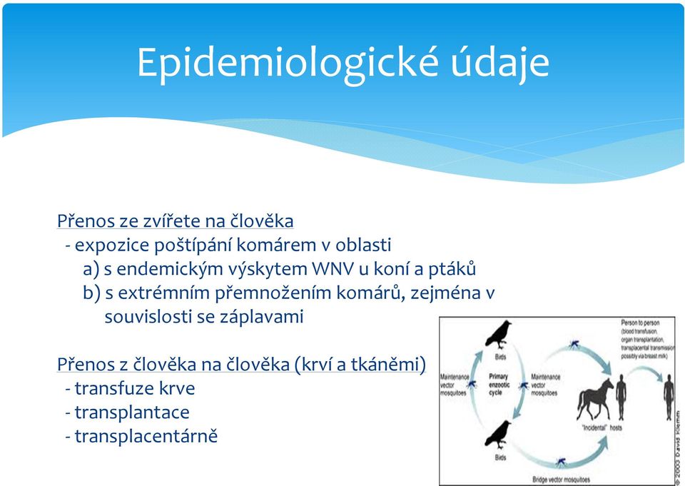 extrémním přemnožením komárů, zejména v souvislosti se záplavami Přenos z