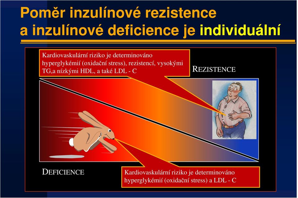 rezistencí, vysokými TG,a nízkými HDL, a také LDL - C REZISTENCE