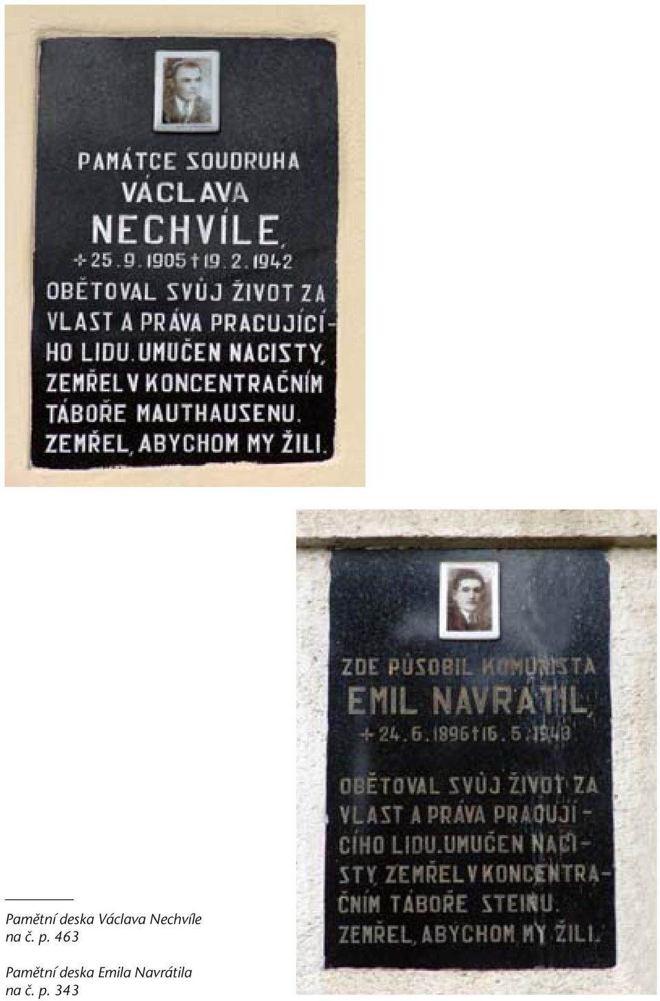 463 Pamûtní deska