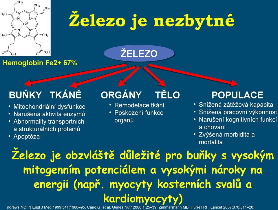 a chování Zvýšená morbidita a mortalita Železo je obzvláště důležité pro buňky s vysokým mitogenním potenciálem a vysokými nároky na energii (např.