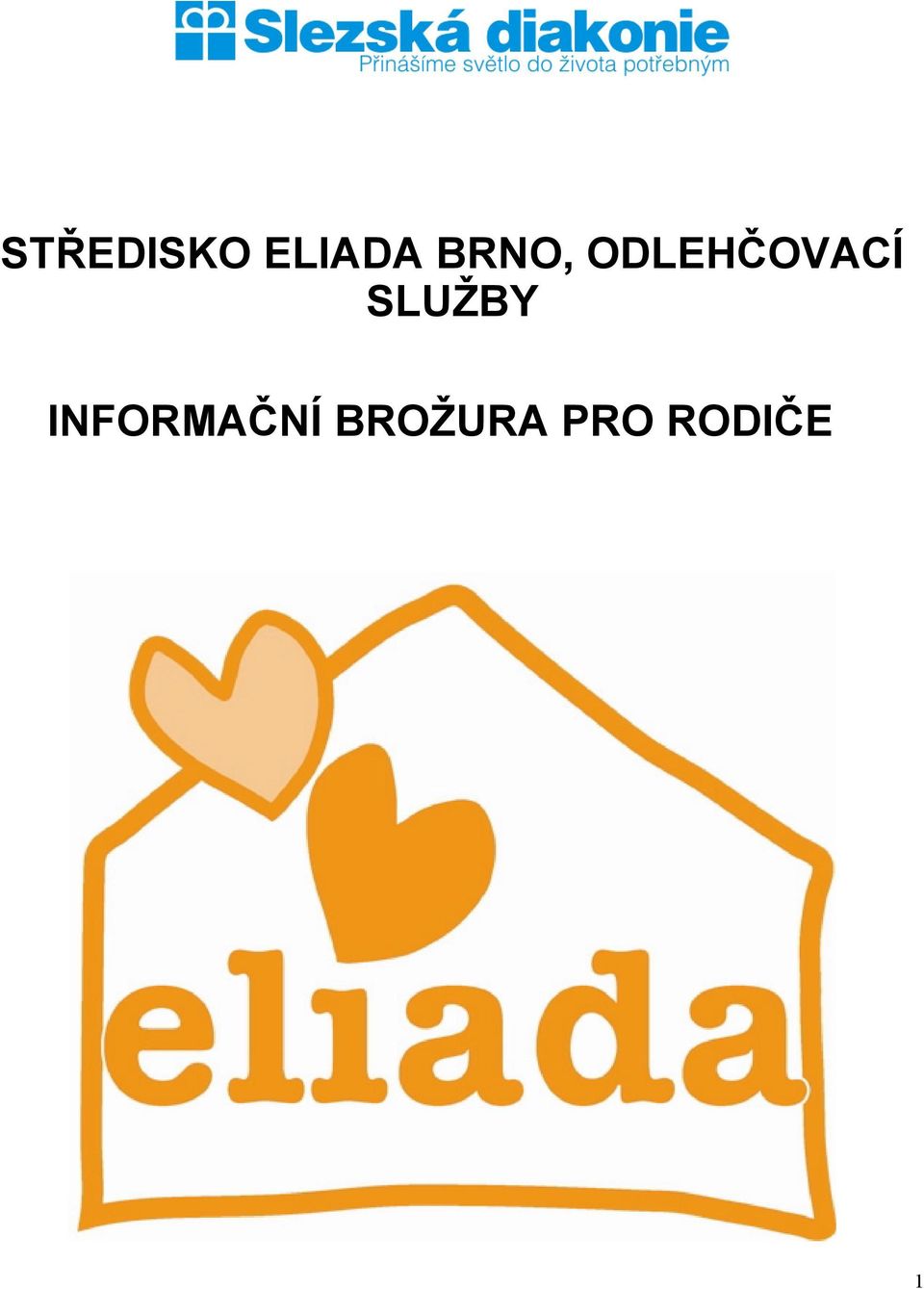 SLUŽBY INFORMAČNÍ