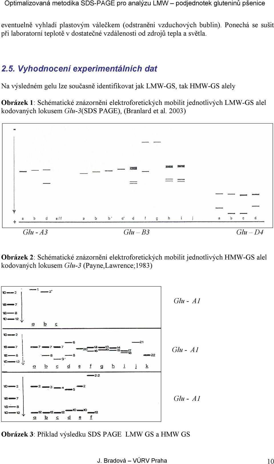 jednotlivých LMW-GS alel kodovaných lokusem Glu-3(SDS PAGE), (Branlard et al.