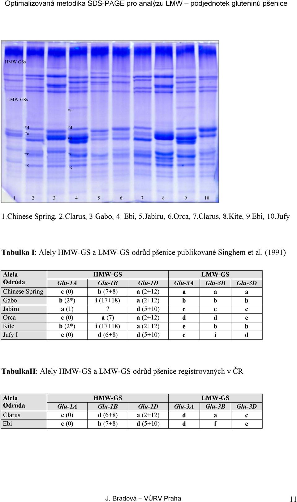 (1991) Alela Odrůda Chinese Spring Gabo Jabiru Orca Kite Jufy I Glu-1A c (0) b (2*) a (1) c (0) b (2*) c (0) HMW-GS Glu-1B b (7+8) i (17+18)?