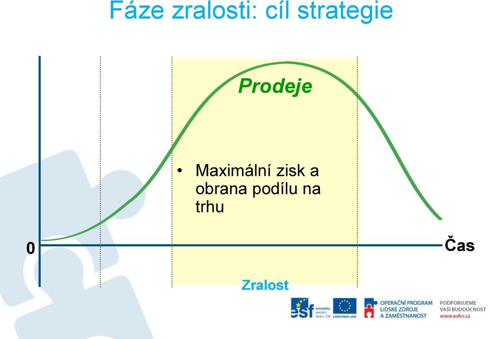 Maximální zisk a