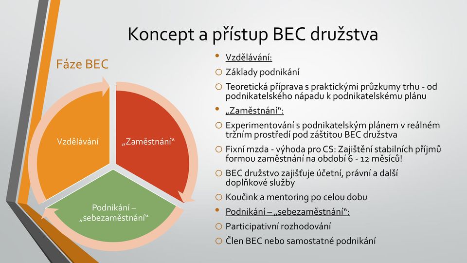 záštitou BEC družstva o Fixní mzda - výhoda pro CS: Zajištění stabilních příjmů formou zaměstnání na období 6-12 měsíců!