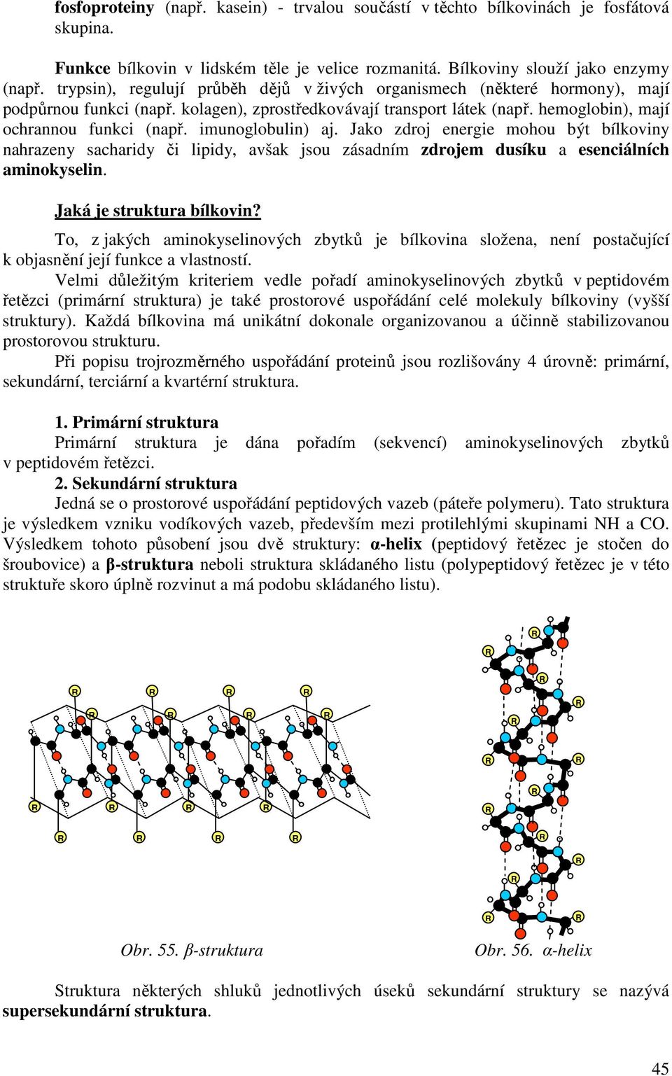 imunoglobulin) aj. Jako zdroj energie mohou být bílkoviny nahrazeny sacharidy či lipidy, avšak jsou zásadním zdrojem dusíku a esenciálních aminokyselin. Jaká je struktura bílkovin?