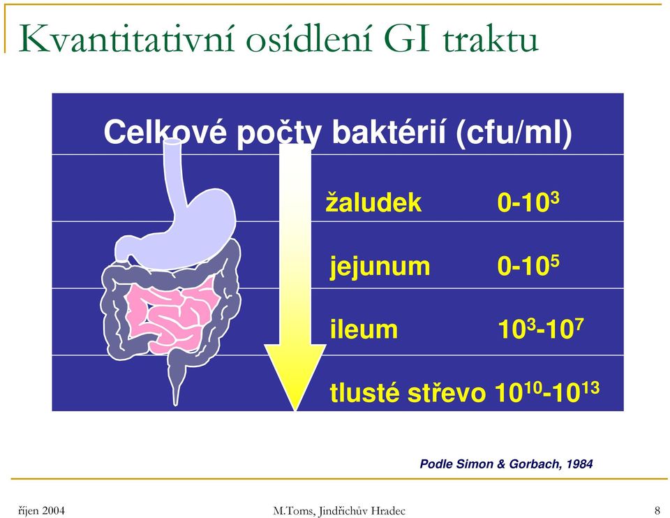 ileum 10 3-10 7 tlusté střevo 10 10-10 13 Podle