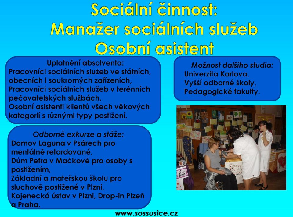 Uplatnění absolventa: Pracovníci sociálních služeb ve státních, obecních i soukromých zařízeních, Pracovníci sociálních služeb v