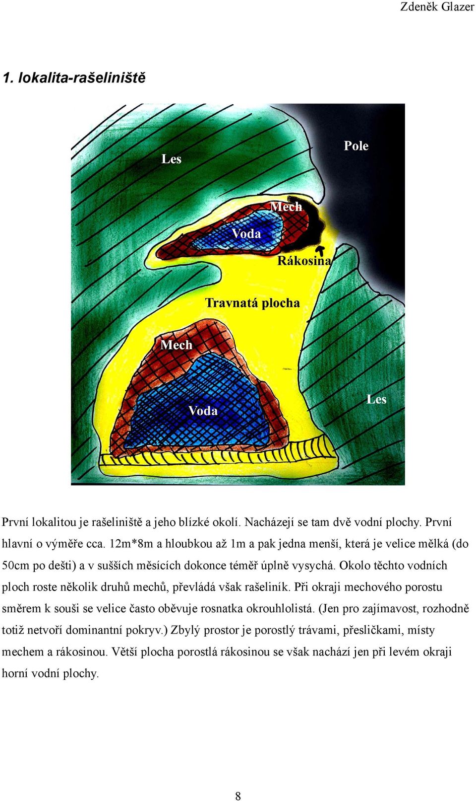 Okolo těchto vodních ploch roste několik druhů mechů, převládá však rašeliník.