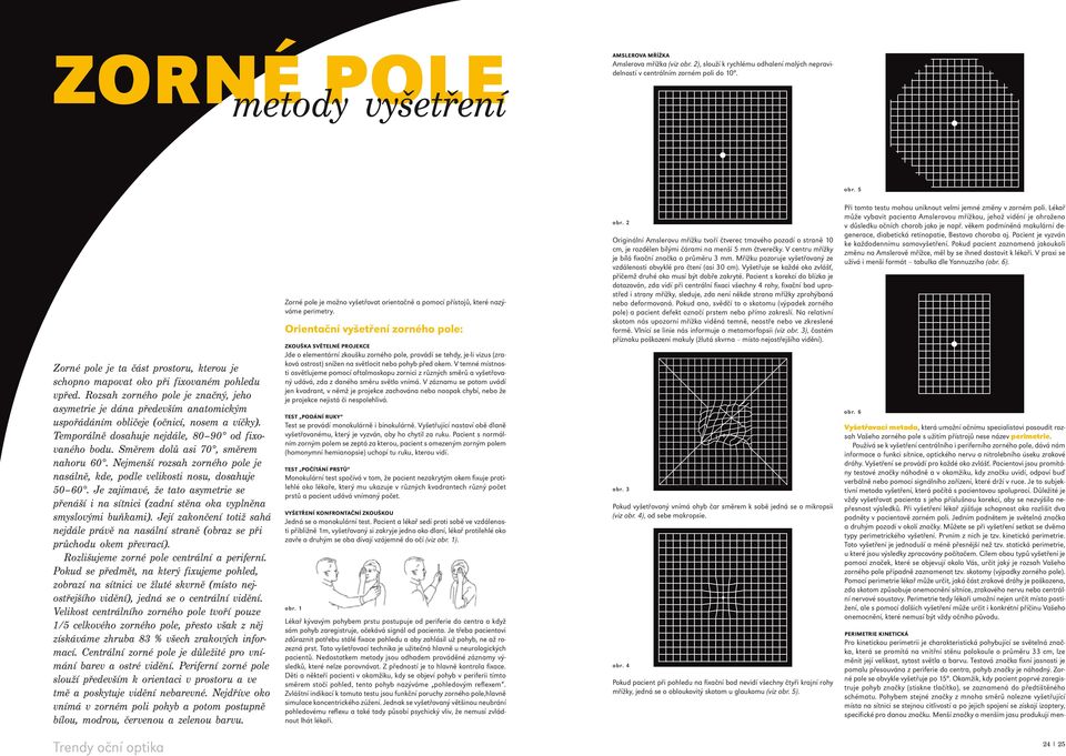 Směrem dolů asi 70, směrem nahoru 60. Nejmenší rozsah zorného pole je nasálně, kde, podle velikosti nosu, dosahuje 50 60.