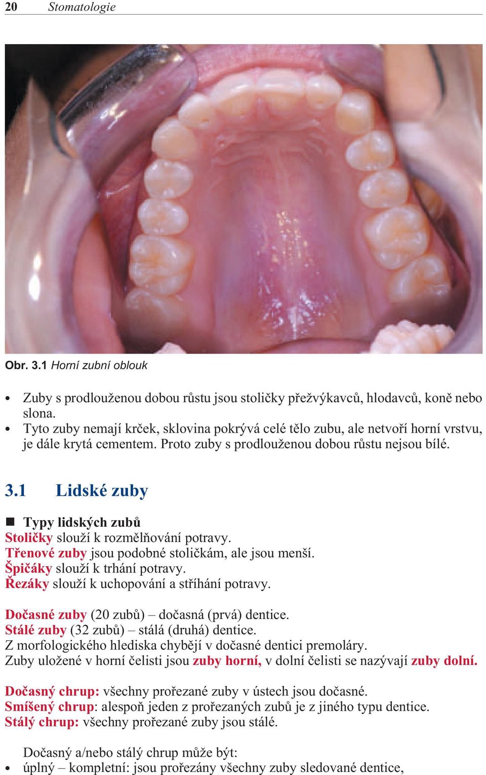 1 Lidské zuby Typy lidských zubù Stolièky slouží k rozmìlòování potravy. Tøenové zuby jsou podobné stolièkám, ale jsou menší. Špièáky slouží k trhání potravy.