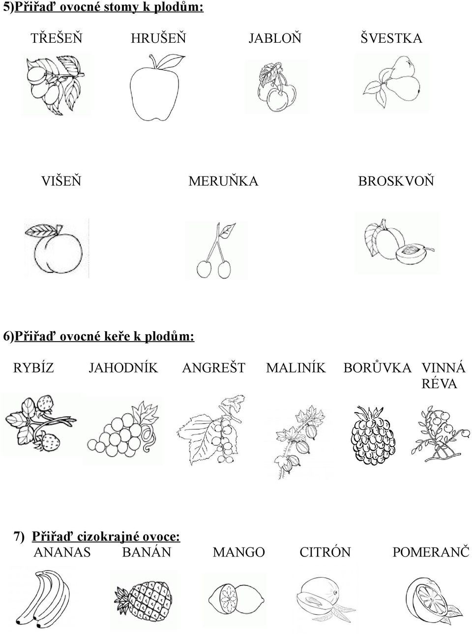 plodům: RYBÍZ JAHODNÍK ANGREŠT MALINÍK BORŮVKA VINNÁ