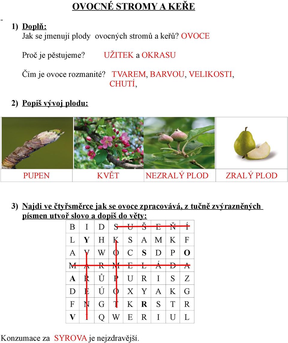 TVAREM, BARVOU, VELIKOSTI, CHUTÍ, 2) Popiš vývoj plodu: PUPEN KVĚT NEZRALÝ PLOD ZRALÝ PLOD 3) Najdi ve čtyřsměrce jak se ovoce