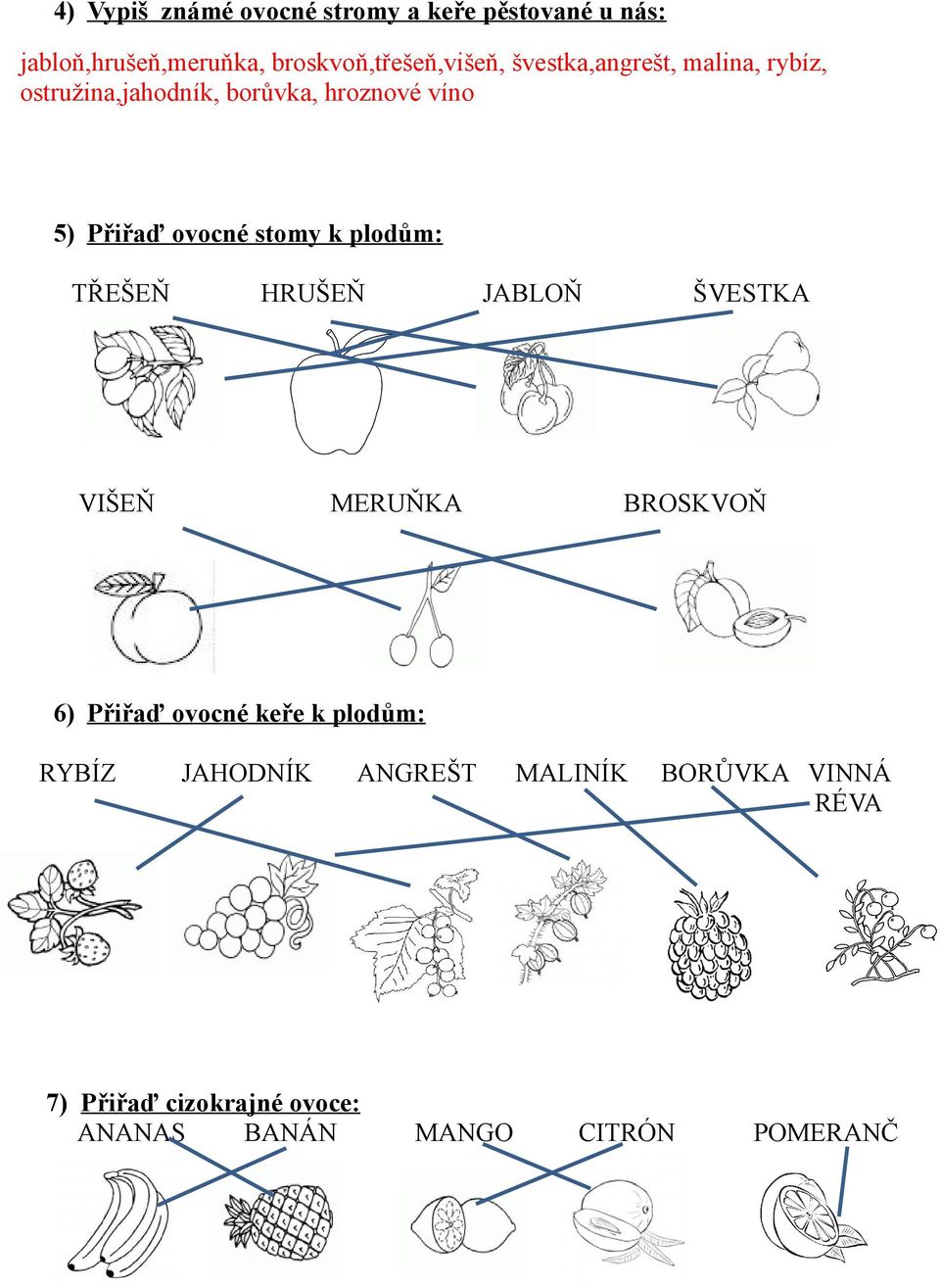 plodům: TŘEŠEŇ HRUŠEŇ JABLOŇ ŠVESTKA VIŠEŇ MERUŇKA BROSKVOŇ 6) Přiřaď ovocné keře k plodům: RYBÍZ