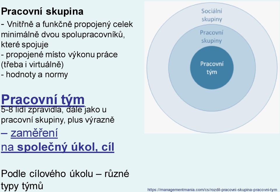 lidí zpravidla, dále jako u pracovní skupiny, plus výrazně zaměření na společný úkol, cíl