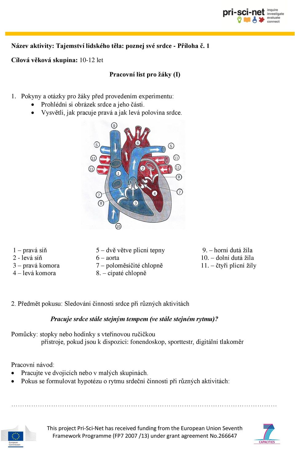 horní dutá žíla 2 - levá síň 6 aorta 10. dolní dutá žíla 3 pravá komora 7 poloměsíčité chlopně 11. čtyři plicní žíly 4 levá komora 8. cípaté chlopně 2.