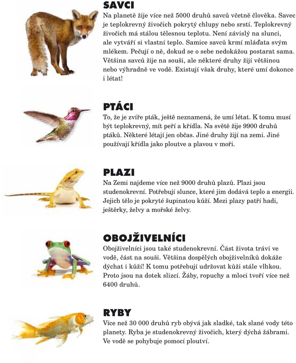 Většina savců žije na souši, ale některé druhy žijí většinou nebo výhradně ve vodě. Existují však druhy, které umí dokonce i létat! PTÁCI To, že je zvíře pták, ještě neznamená, že umí létat.