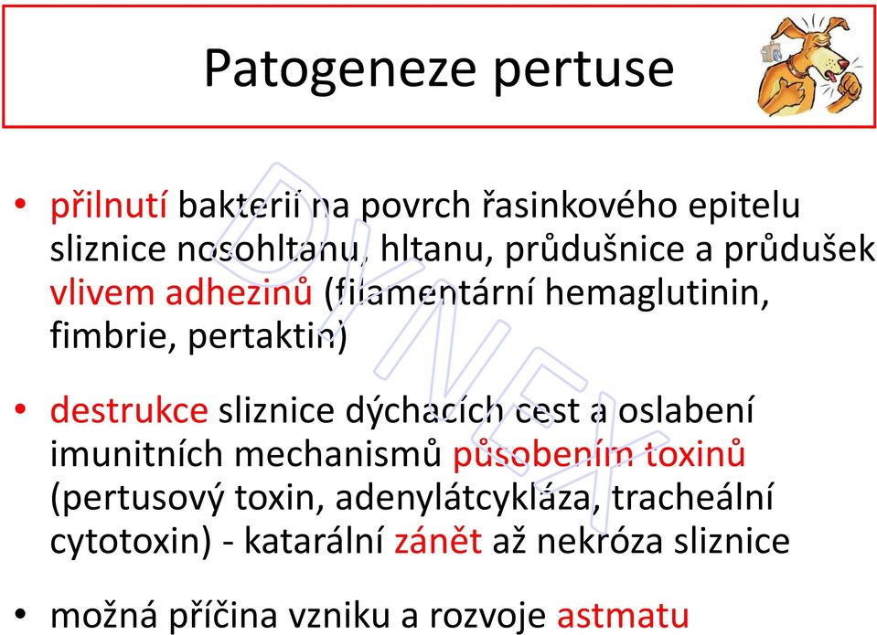 destrukcesliznice dýchacích cest a oslabení imunitních mechanismů působením toxinů