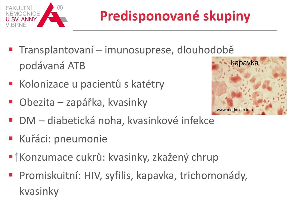 kvasinkové infekce Kuřáci: pneumonie Konzumace cukrů: kvasinky, zkažený chrup