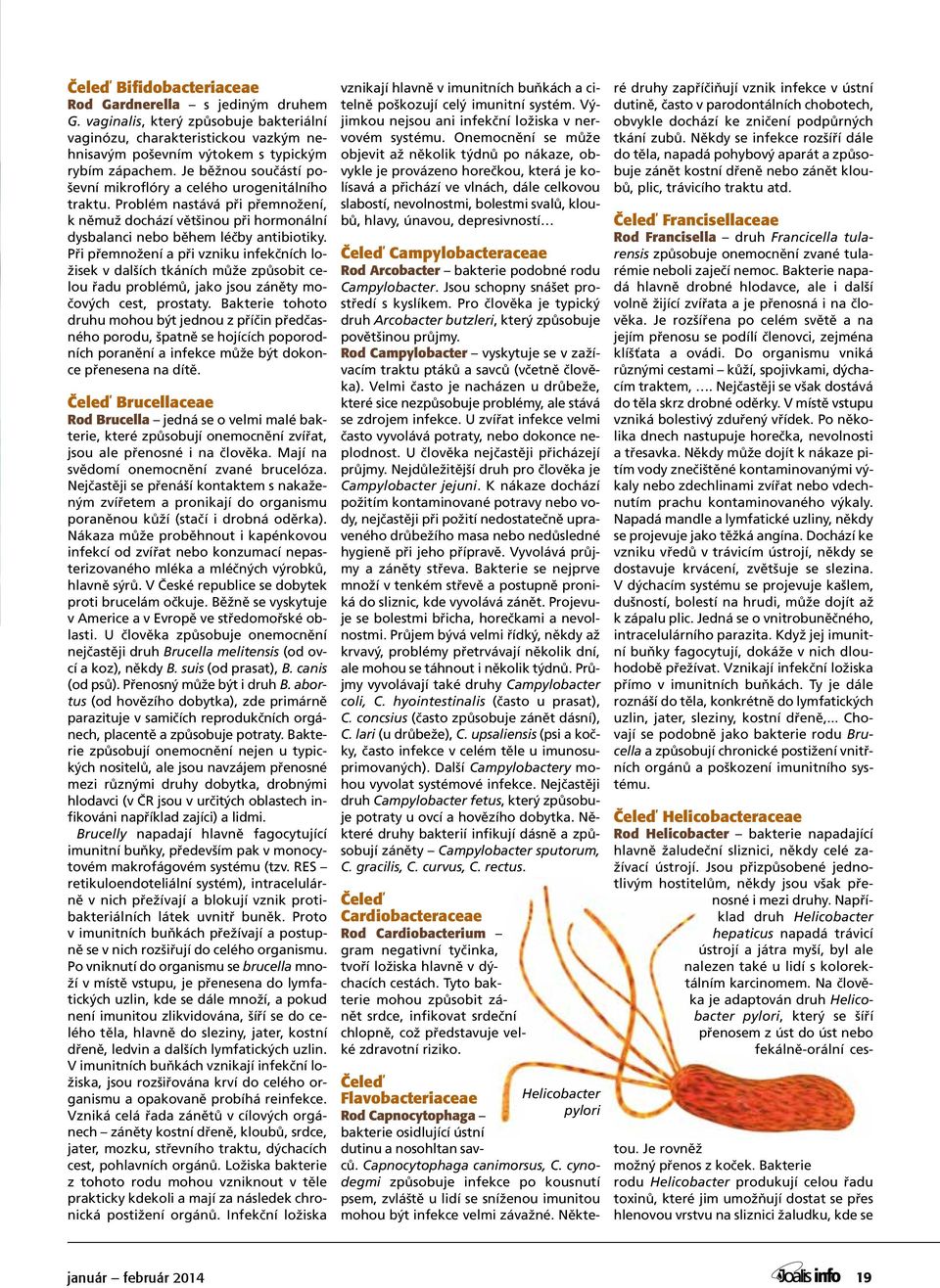 Při přemnožení a při vzniku infekčních ložisek v dalších tkáních může způsobit celou řadu problémů, jako jsou záněty močových cest, prostaty.