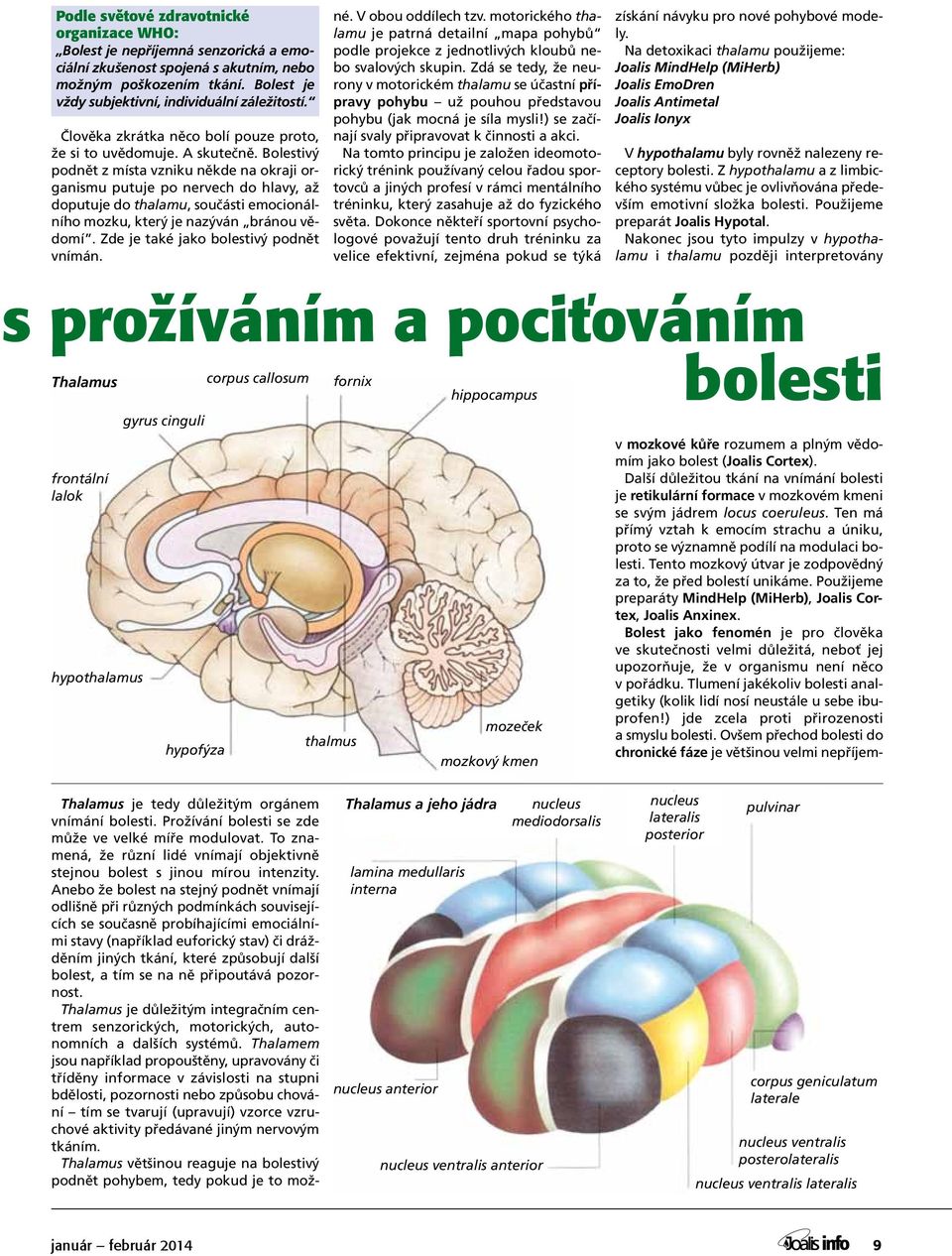 slov Bolest je paní vždy Blanky subjektivní, velice individuální vlídný, záležitostí.