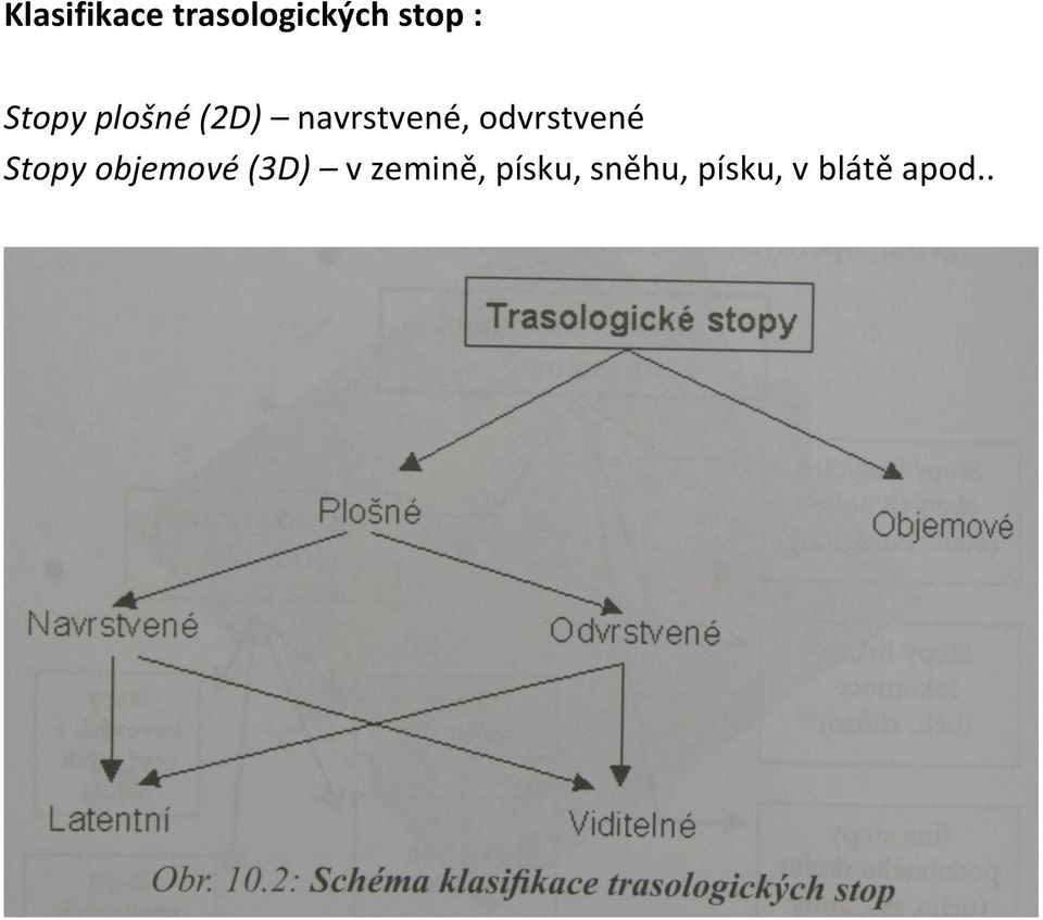 odvrstvené Stopy objemové (3D) v