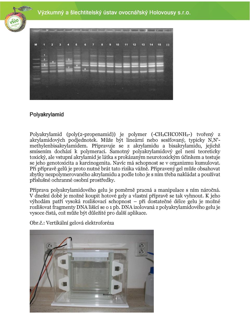 Samotný polyakrylamidový gel není teoreticky toxický, ale vstupní akrylamid je látka s prokázaným neurotoxickým účinkem a testuje se jeho genotoxicita a karcinogenita.