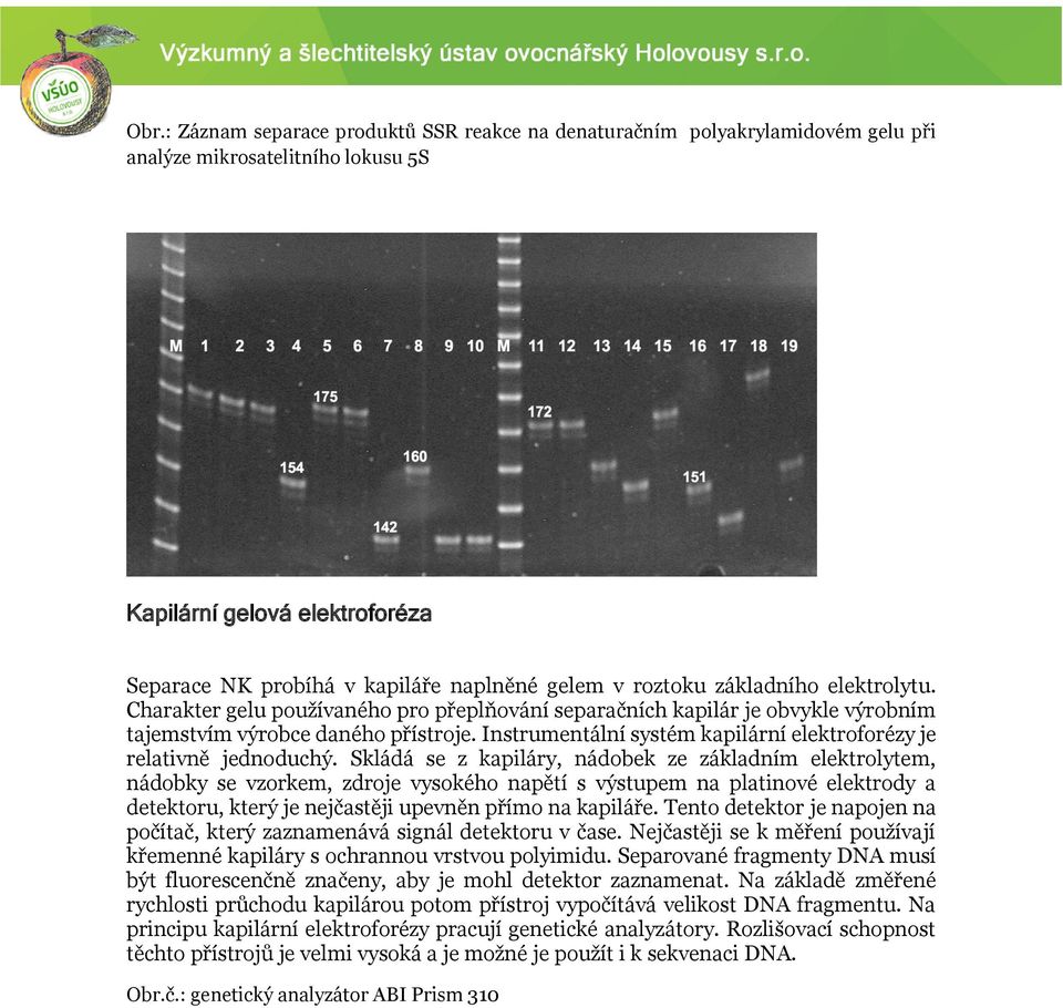 Instrumentální systém kapilární elektroforézy je relativně jednoduchý.