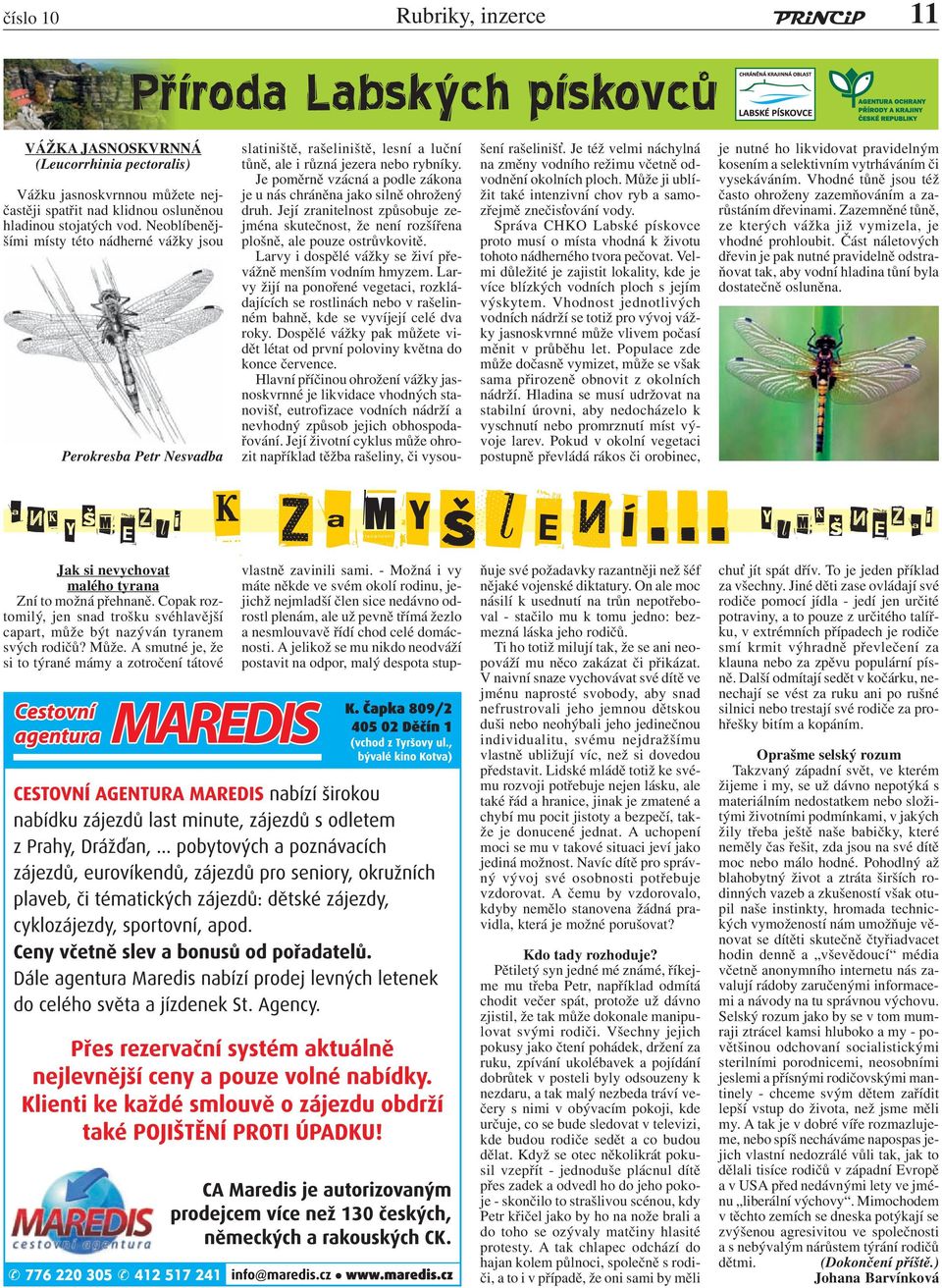 Je poměrně vzácná a podle zákona je u nás chráněna jako silně ohrožený druh. Její zranitelnost způsobuje zejména skutečnost, že není rozšířena plošně, ale pouze ostrůvkovitě.