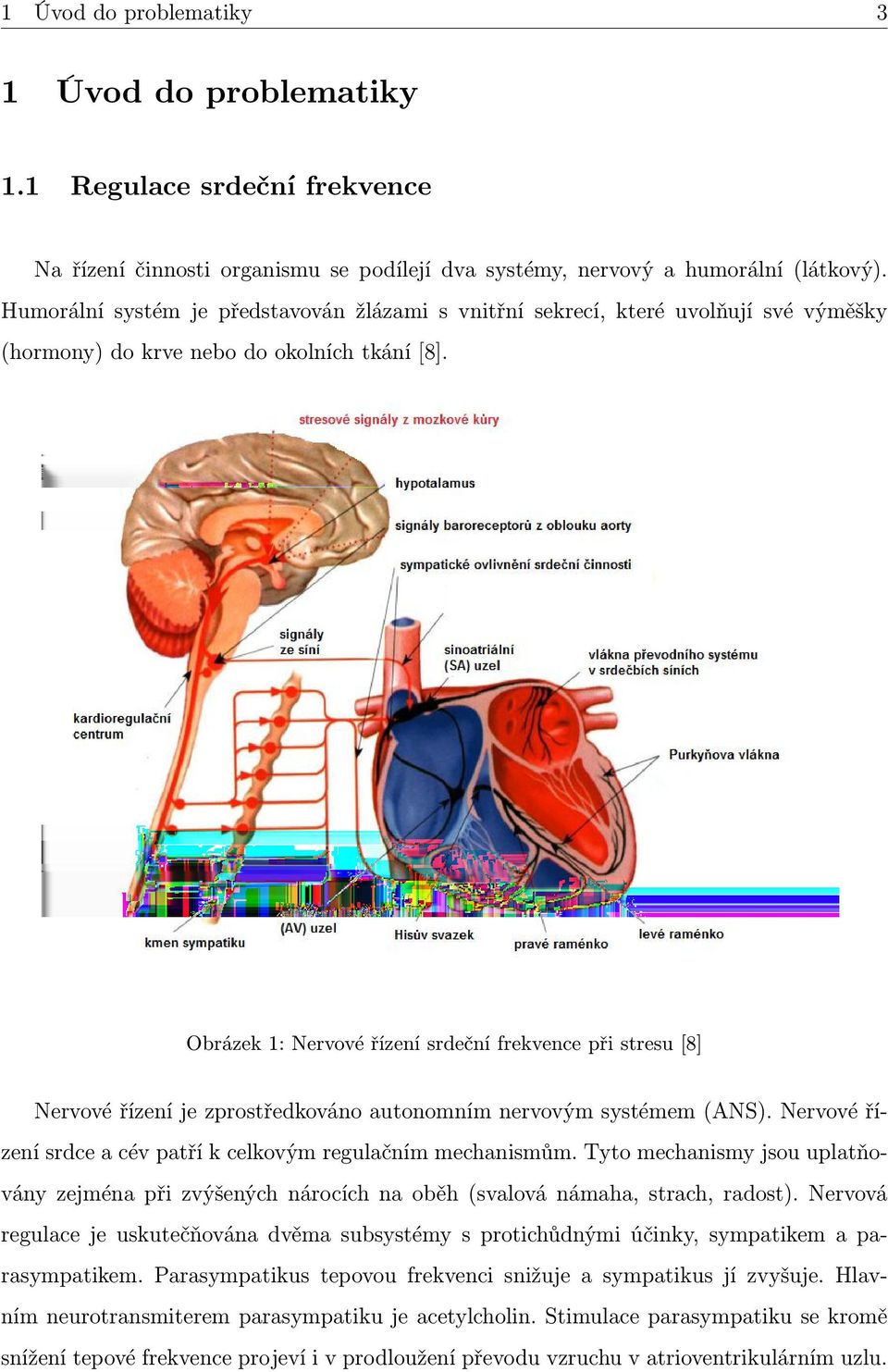 Obrázek 1: Nervové řízení srdeční frekvence při stresu [8] Nervové řízení je zprostředkováno autonomním nervovým systémem (ANS). Nervové řízení srdce a cév patří k celkovým regulačním mechanismům.