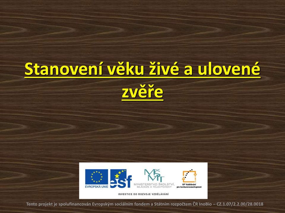 Evropským sociálním fondem a Státním