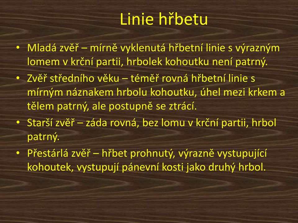 Zvěř středního věku téměř rovná hřbetní linie s mírným náznakem hrbolu kohoutku, úhel mezi krkem a tělem
