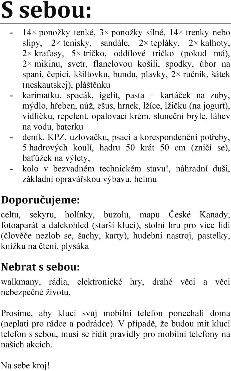 (na jogurt), vidličku, repelent, opalovací krém, sluneční brýle, láhev na vodu, baterku - deník, KPZ, uzlovačku, psací a korespondenční potřeby, 5 hadrových koulí, hadru 50 krát 50 cm (zničí se),