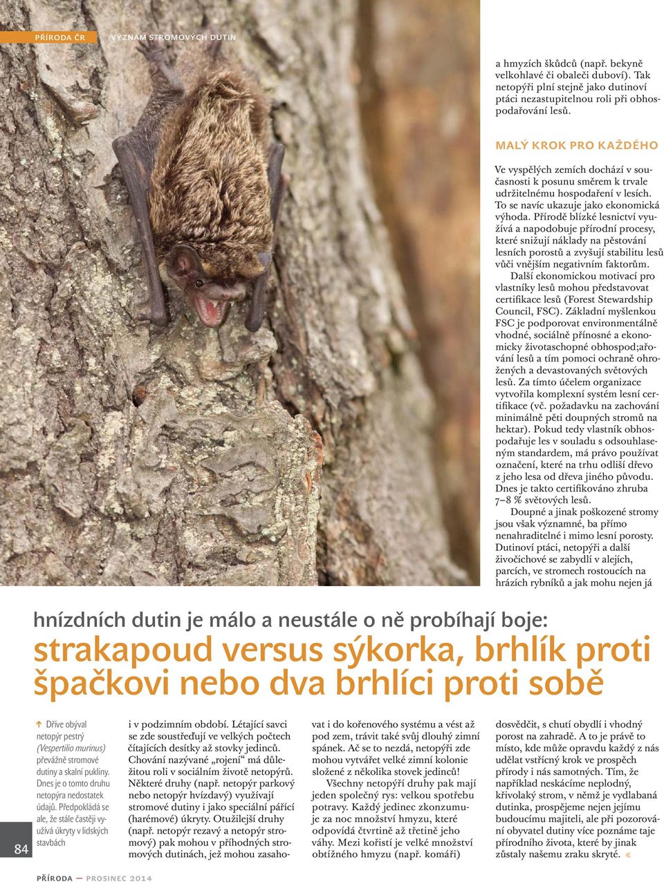 Přírodě blízké lesnictví využívá a napodobuje přírodní procesy, které snižují náklady na pěstování lesních porostů a zvyšují stabilitu lesů vůči vnějším negativním faktorům.