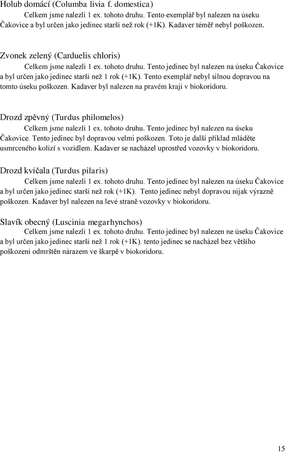 Tento exemplář nebyl silnou dopravou na tomto úseku poškozen. Kadaver byl nalezen na pravém kraji v biokoridoru. Drozd zpěvný (Turdus philomelos) Celkem jsme nalezli 1 ex. tohoto druhu.