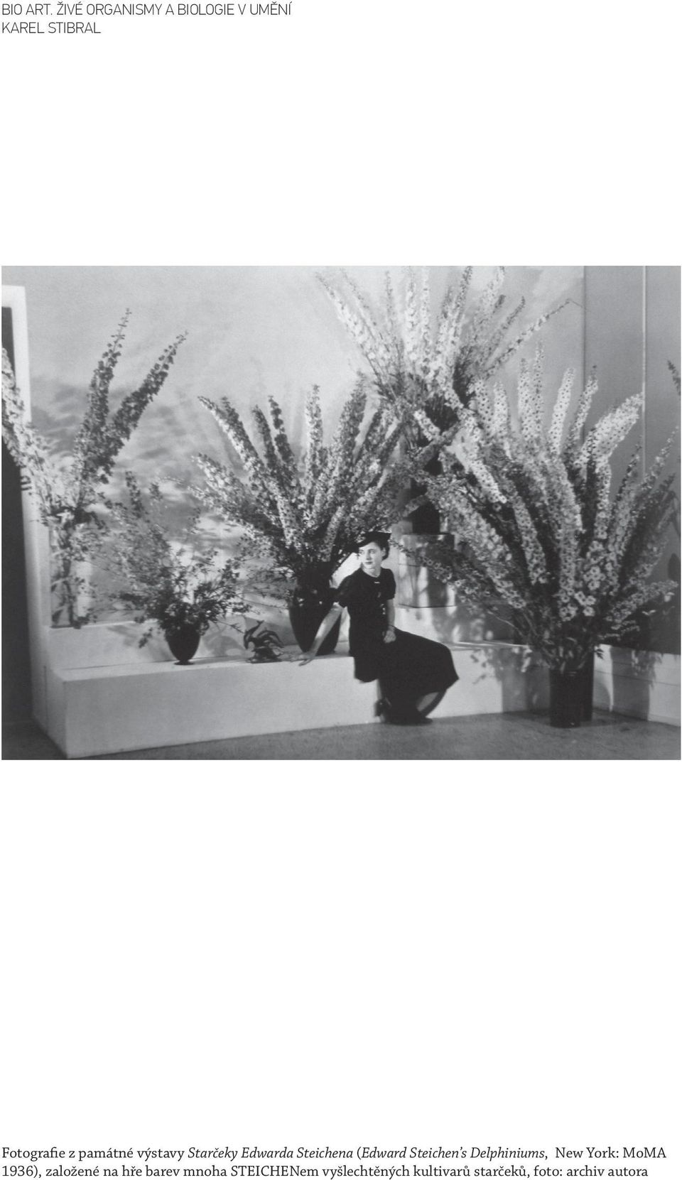 památné výstavy Starčeky Edwarda Steichena (Edward Steichen s