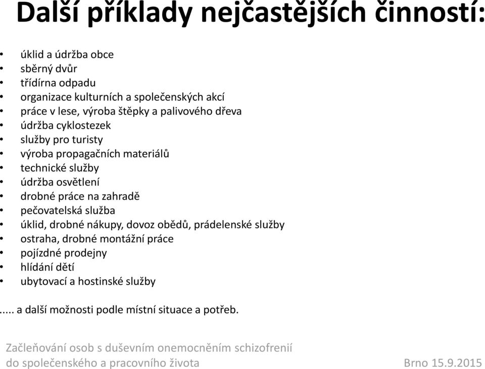 služby údržba osvětlení drobné práce na zahradě pečovatelská služba úklid, drobné nákupy, dovoz obědů, prádelenské služby