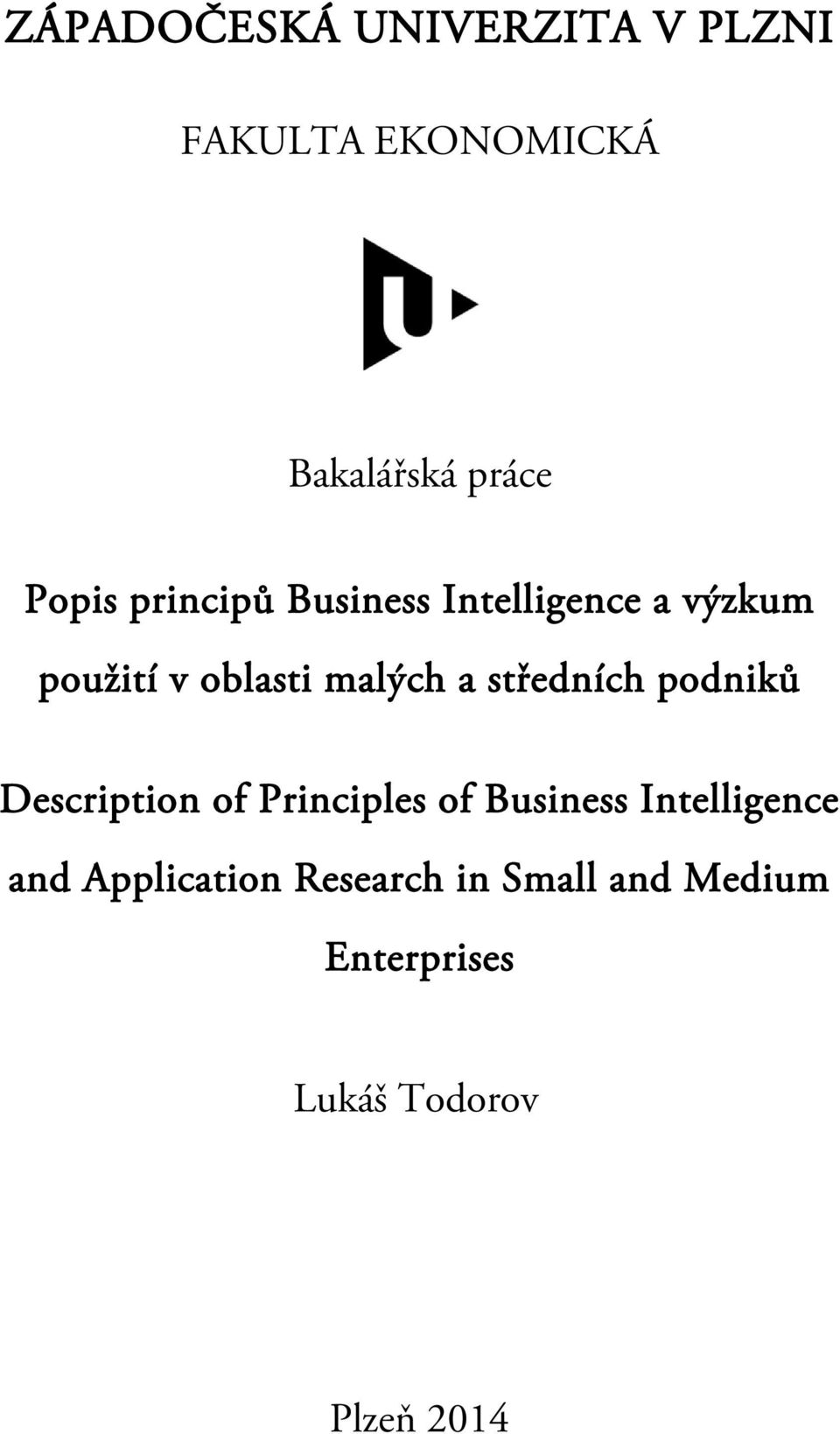 středních podniků Description of Principles of Business Intelligence and