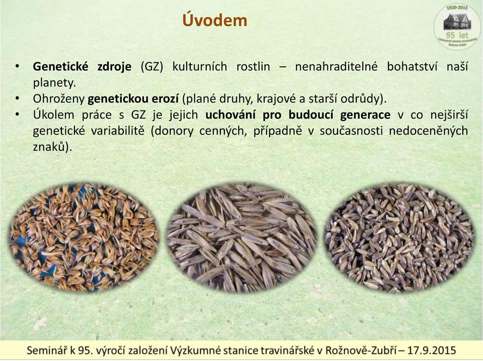 Ohroženy genetickou erozí (plané druhy, krajové a starší odrůdy).