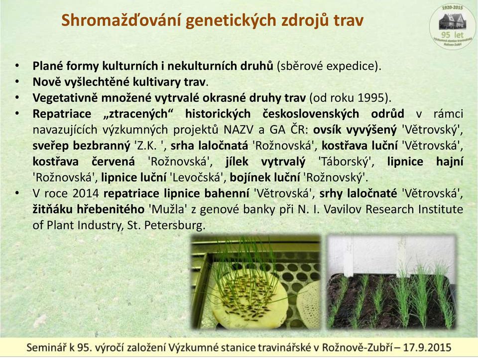 Repatriace ztracených historických československých odrůd v rámci navazujících výzkumných projektů NAZV a GA ČR: ovsík vyvýšený 'Větrovský', sveřep bezbranný 'Z.K.