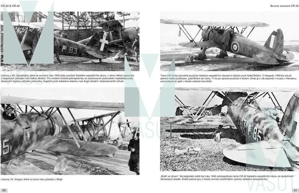 Tento CR.42 byl původně používán Italským expedičním sborem k útokům proti Velké Británii. V listopadu 1940 byl ale při jednom náletu poškozen, padl Britům do rukou.