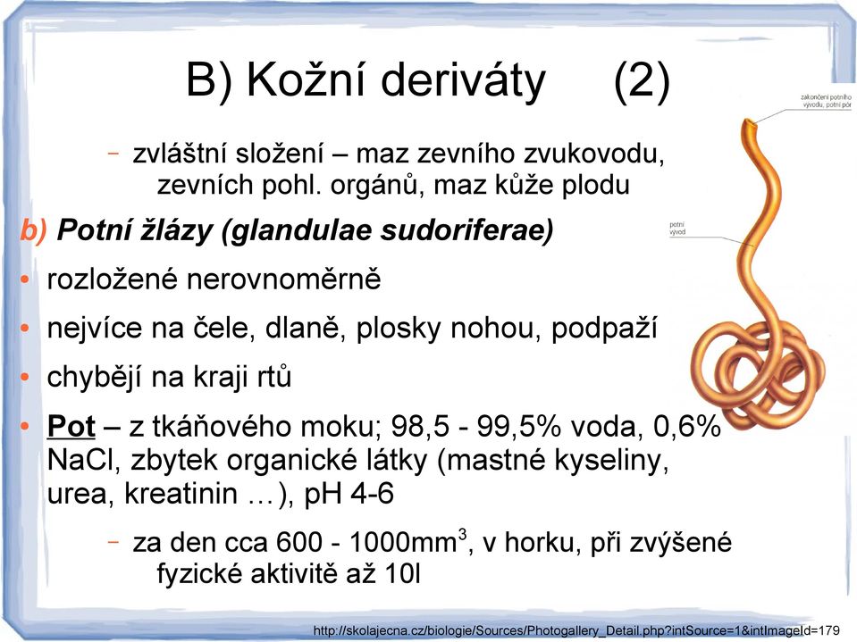 podpaží chybějí na kraji rtů Pot z tkáňového moku; 98,5-99,5% voda, 0,6% NaCl, zbytek organické látky (mastné kyseliny, urea,