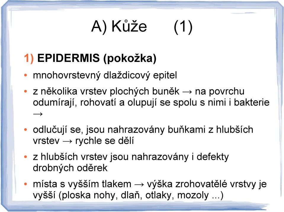 nahrazovány buňkami z hlubších vrstev rychle se dělí z hlubších vrstev jsou nahrazovány i defekty