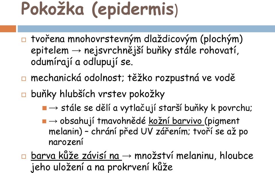 mechanická odolnost; těžko rozpustná ve vodě buňky hlubších vrstev pokožky stále se dělí a vytlačují starší