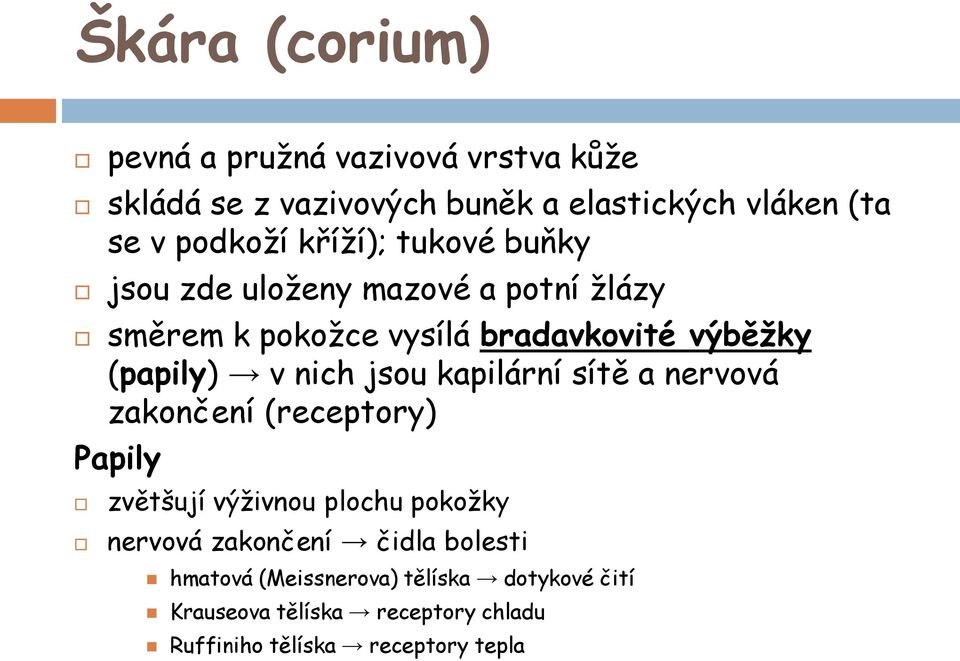 nich jsou kapilární sítě a nervová zakončení (receptory) Papily zvětšují výživnou plochu pokožky nervová zakončení