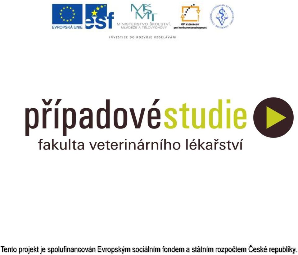 Evropským sociálním