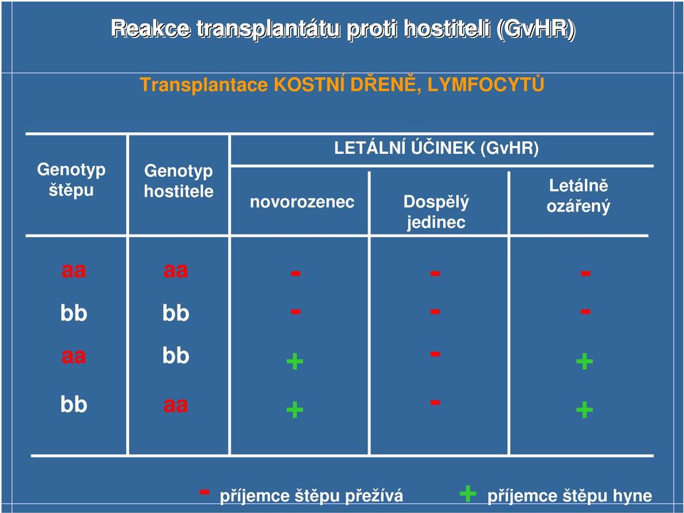 novorozenec LETÁLNÍ ÚČINEK (GvHR) Dospělý jedinec