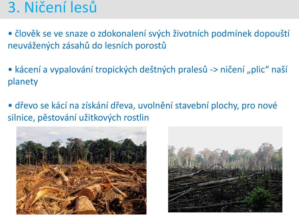 tropických deštných pralesů -> ničení plic naší planety dřevo se kácí na