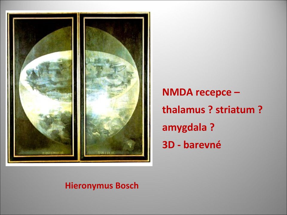 striatum?